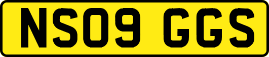 NS09GGS