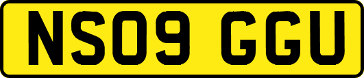 NS09GGU