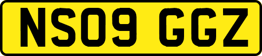 NS09GGZ