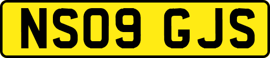NS09GJS