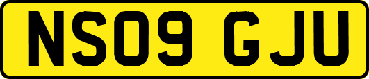 NS09GJU