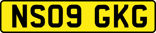 NS09GKG