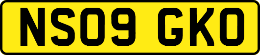 NS09GKO