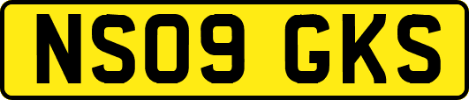 NS09GKS