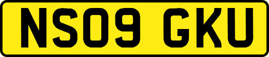 NS09GKU