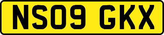 NS09GKX