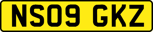 NS09GKZ