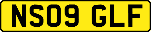 NS09GLF