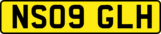 NS09GLH