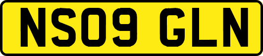 NS09GLN