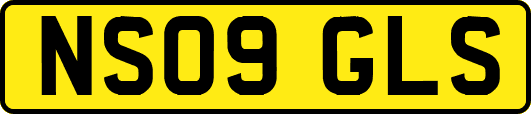 NS09GLS