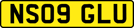 NS09GLU