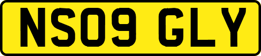 NS09GLY
