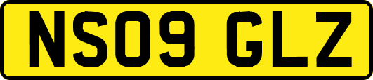NS09GLZ