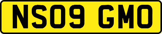 NS09GMO