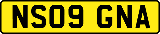 NS09GNA
