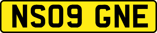 NS09GNE