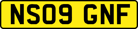 NS09GNF
