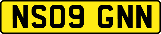 NS09GNN