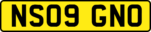 NS09GNO