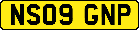 NS09GNP