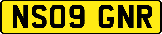 NS09GNR