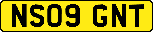 NS09GNT