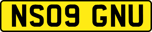 NS09GNU