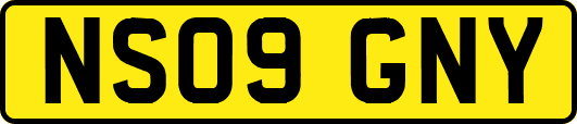NS09GNY