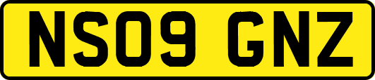 NS09GNZ