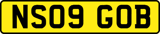 NS09GOB