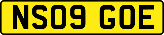 NS09GOE