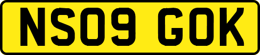NS09GOK
