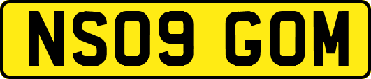 NS09GOM