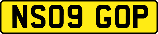 NS09GOP