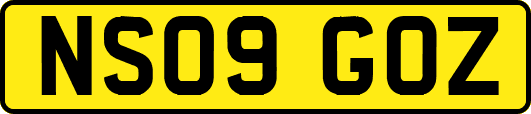 NS09GOZ