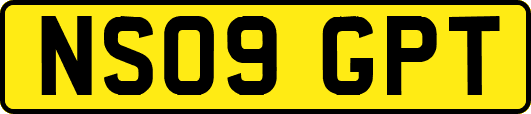 NS09GPT