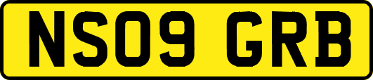 NS09GRB