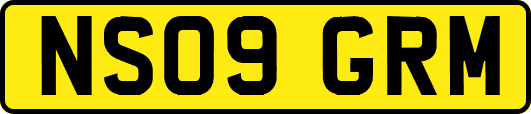 NS09GRM