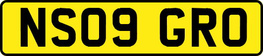 NS09GRO