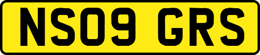 NS09GRS