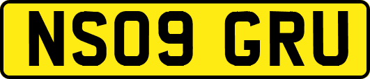 NS09GRU