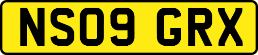 NS09GRX
