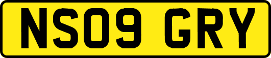 NS09GRY