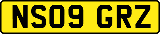 NS09GRZ