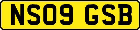 NS09GSB