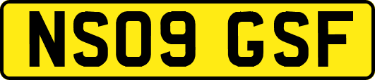 NS09GSF