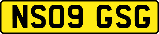 NS09GSG