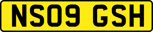 NS09GSH