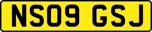 NS09GSJ